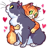 Meme Cats