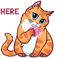 Meme Cats