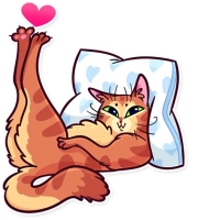 Meme Cats
