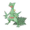 More Pokemon3