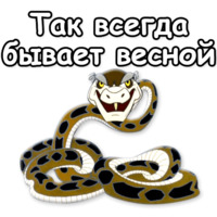 Маугли