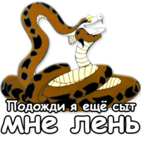 Маугли