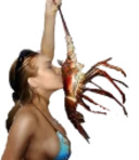 MrCrabs