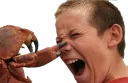 MrCrabs