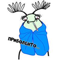 Мистер Жук