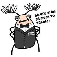 Мистер Жук