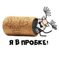 Мистер Жук