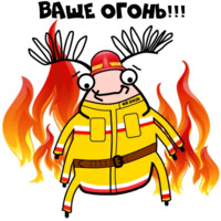Мистер Жук