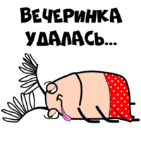 Мистер Жук
