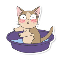 Кот Мяу