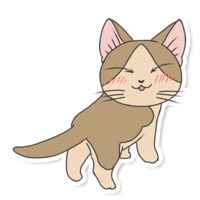Кот Мяу
