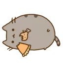 Такой Разный Котя