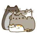 Такой Разный Котя