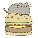 Такой Разный Котя