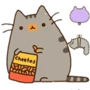 Такой Разный Котя