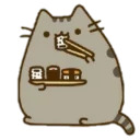 Такой Разный Котя