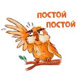Надменная Сова