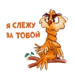 Надменная Сова