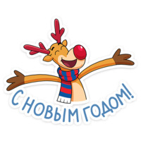 Новогодние моменты