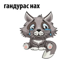 Ночной волчонок