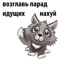 Ночной волчонок