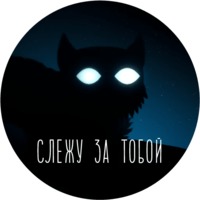 Ночь в лесу