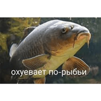 Ohuevaet