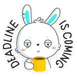 Кролик Олег :: @stickroom