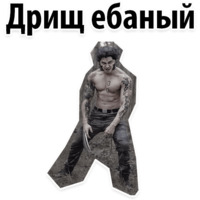 Никита Ницветов