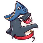 Orca88 the Pirate!