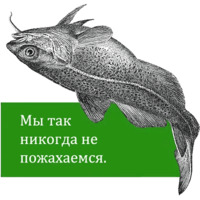 O039Reilly bookshelf stories