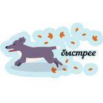 осенние оттенки