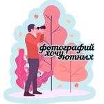 осенние оттенки