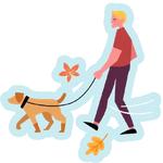 осенние оттенки