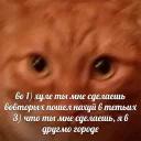 Паб лисья Жопа
