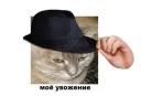 Паб лисья Жопа