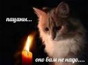 Паб лисья Жопа