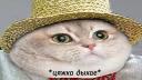 Паб лисья Жопа