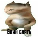 Паб лисья Жопа