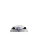 Panda Pange 3D- @cocopry