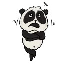 Pandamotion