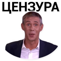 Панин Шоу
