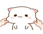 Mochi Mochi Peach Cat