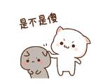 Mochi Mochi Peach Cat
