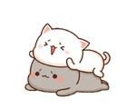 Mochi Mochi Peach Cat