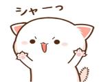 Mochi Mochi Peach Cat