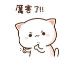 Mochi Mochi Peach Cat