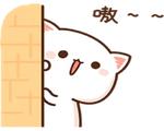 Mochi Mochi Peach Cat