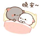 Mochi Mochi Peach Cat
