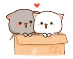 Mochi Mochi Peach Cat